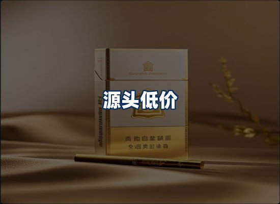 专业团队办公环境